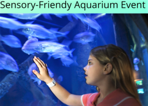 Sensory Friendly Hours at the Audubon in Bristol, RI