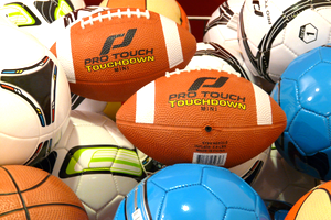 Adaptive Sports for Grades 1-8: Bedford