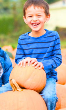 Massachusetts Disability Events & Recreation Fall 2024