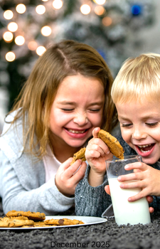 December/Holiday Newsletter 